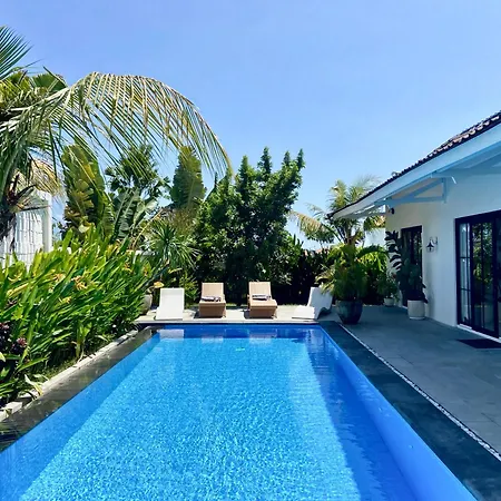 Elegant 3 Bedroom Villa Huge Pool In Central Canggu